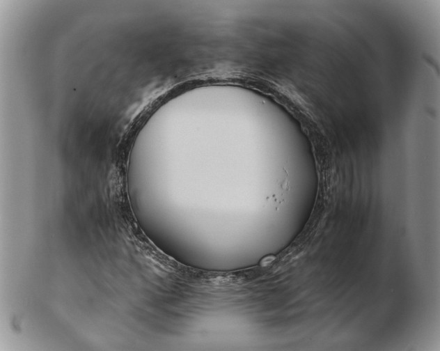 X0000102801160200809021130