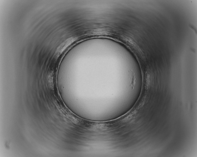 X0000102801162200809021130