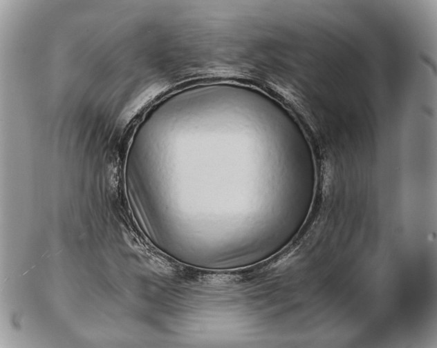 X0000102801163200809021130