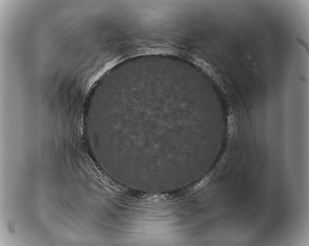 X0000102801165200809021130