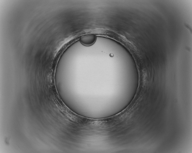 X0000102801166200809021130