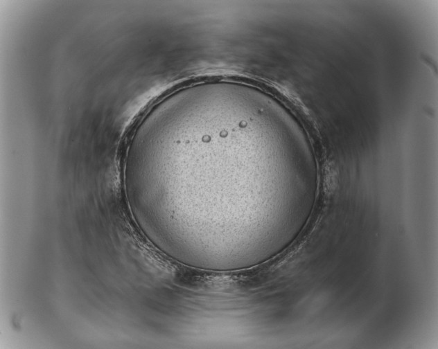 X0000102801167200809021130