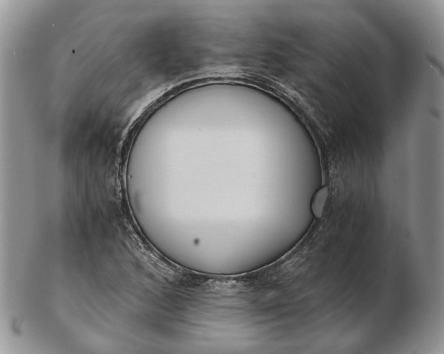 X0000102801168200809021130