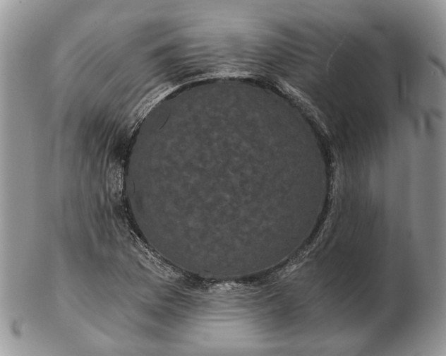 X0000102801169200809021130