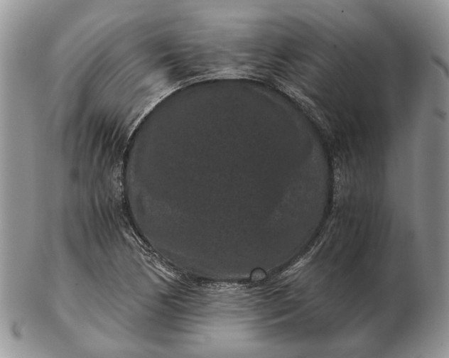 X0000102801170200809021130