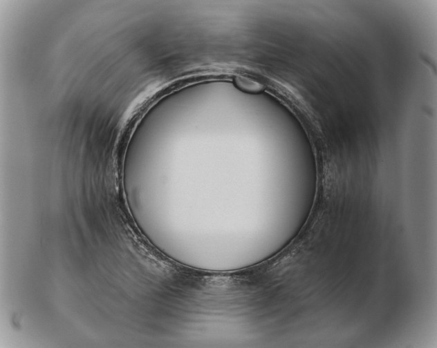 X0000102801172200809021130