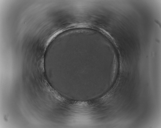 X0000102801174200809021130