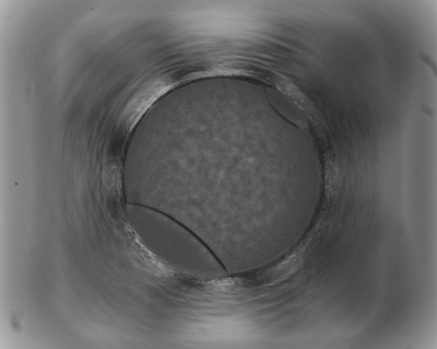 X0000102801177200809021130