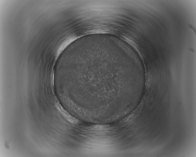 X0000102801179200809021130