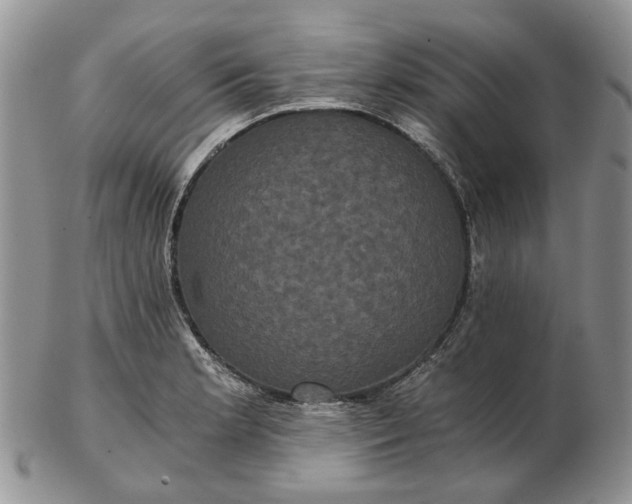 X0000102801181200809021129