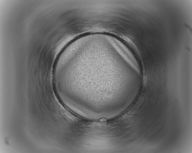 X0000102801183200809021129