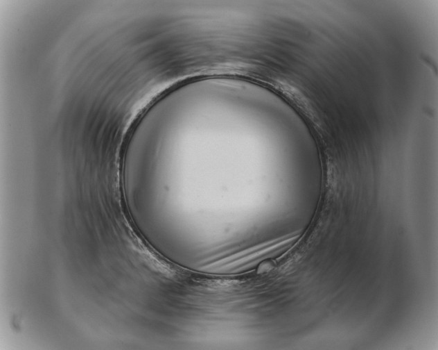 X0000102801184200809021129