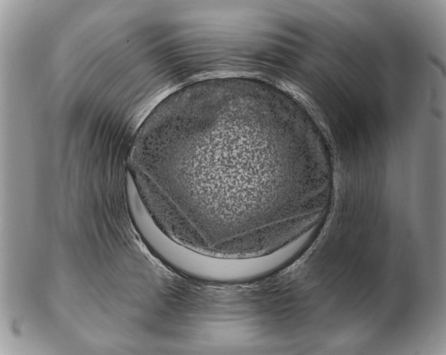 X0000102801185200809021129