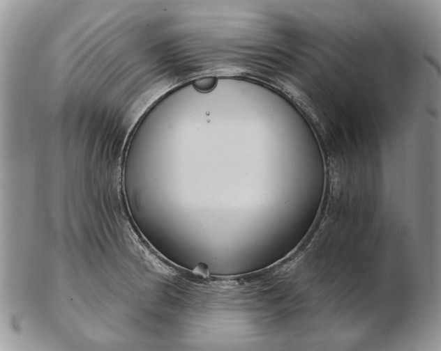 X0000102801186200809021129