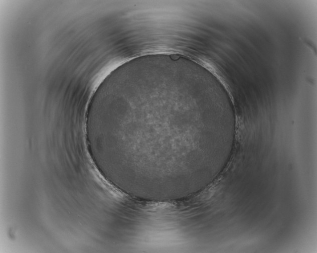 X0000102801187200809021129