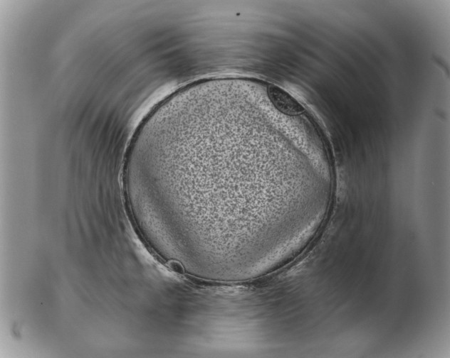 X0000102801189200809021129