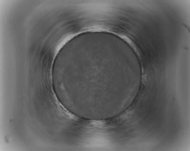 X0000102801191200809021129