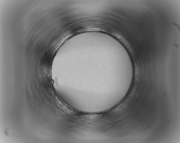 X0000102801193200809021129