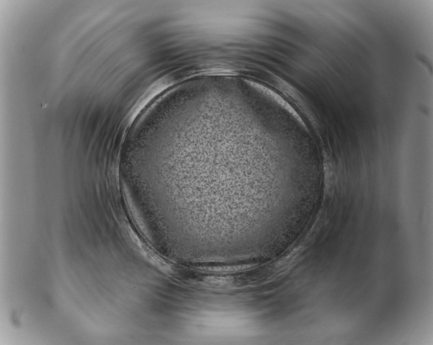 X0000102801194200809021129