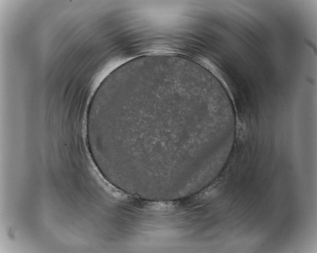 X0000102801195200809021129