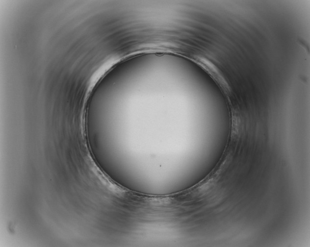 X0000102801196200809021129