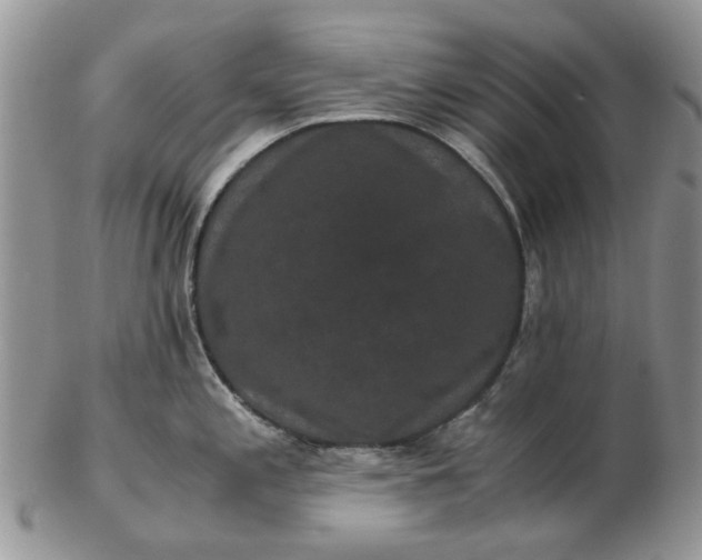 X0000102801197200809021129