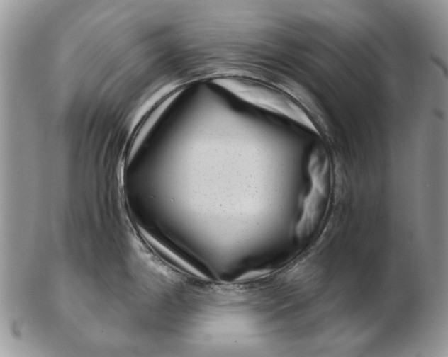 X0000102801198200809021129