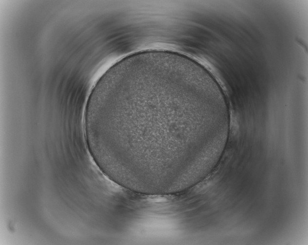 X0000102801199200809021129