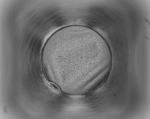 X0000102801200200809021129