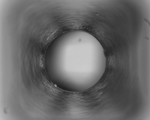 X0000102801202200809021129