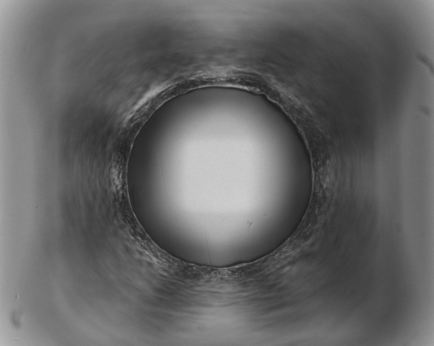 X0000102801206200809021129