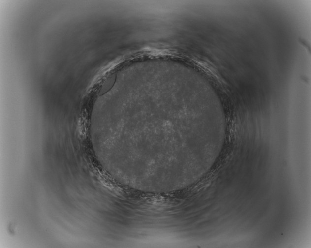 X0000102801207200809021129