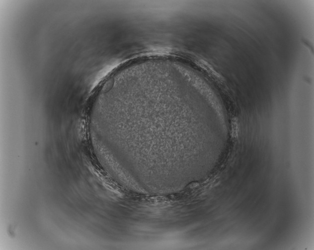 X0000102801208200809021129