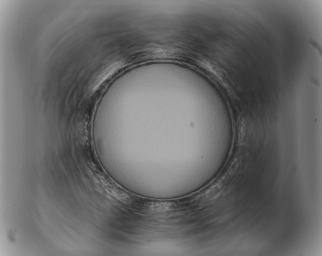 X0000102801211200809021129