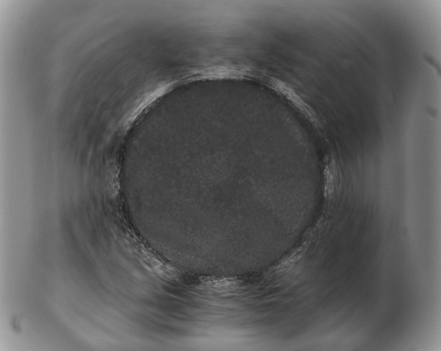 X0000102801213200809021129