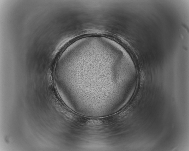 X0000102801215200809021129