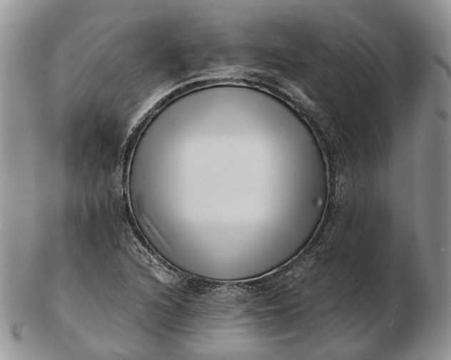 X0000102801216200809021129