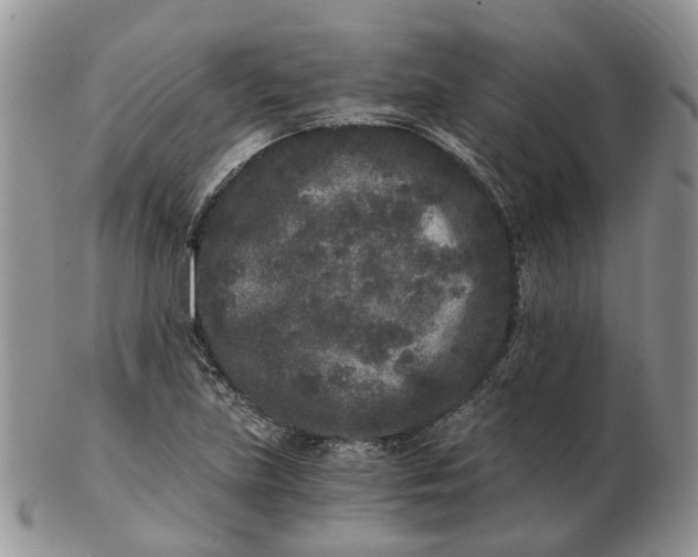 X0000102801219200809021129