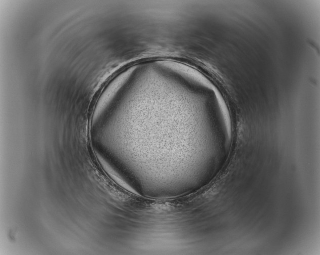 X0000102801220200809021129