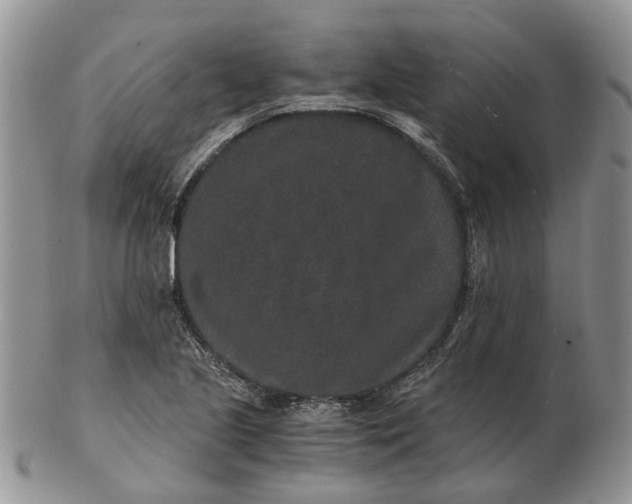 X0000102801221200809021129