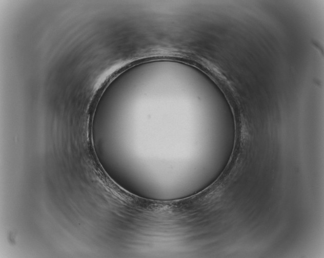 X0000102801222200809021129