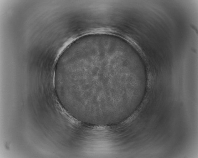 X0000102801224200809021129