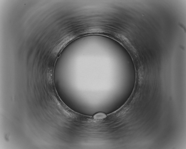 X0000102801225200809021129