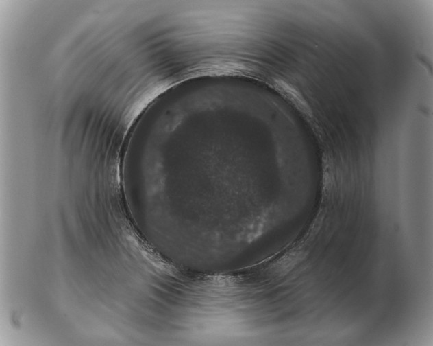 X0000102801226200809021129