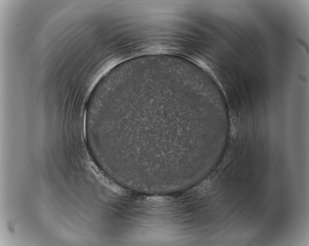 X0000102801227200809021129