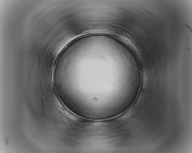 X0000102801228200809021129