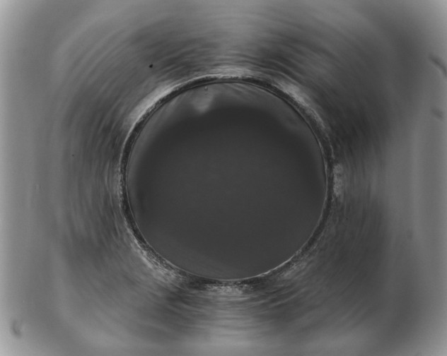 X0000102801229200809021129