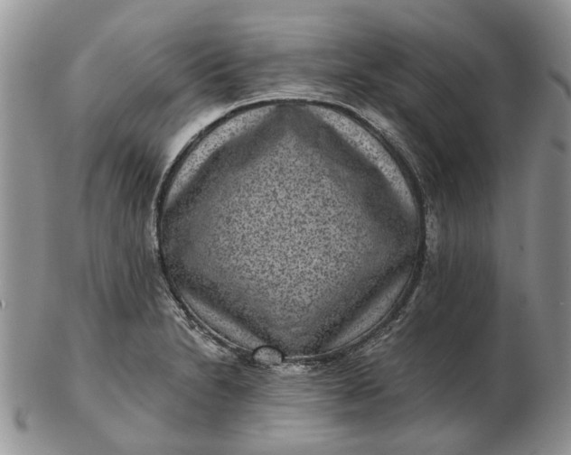 X0000102801230200809021129