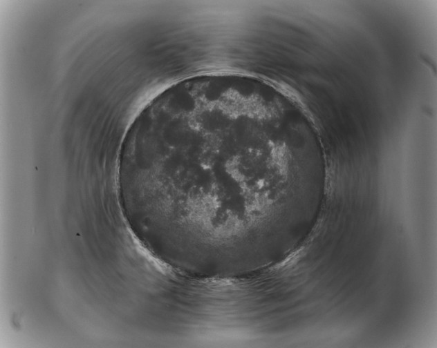 X0000102801231200809021129