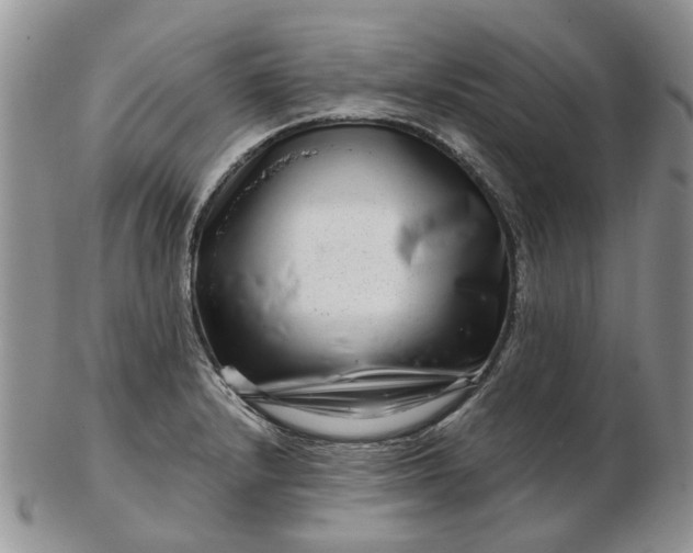 X0000102801232200809021129